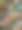 各种野生动物肖像的拼贴画图片下载