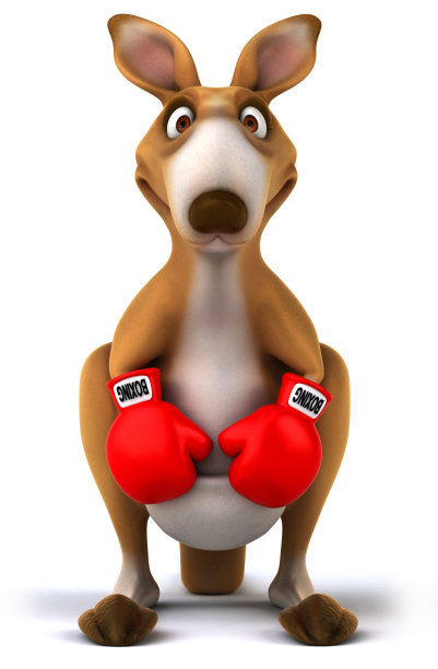 有趣的袋鼠图片下载