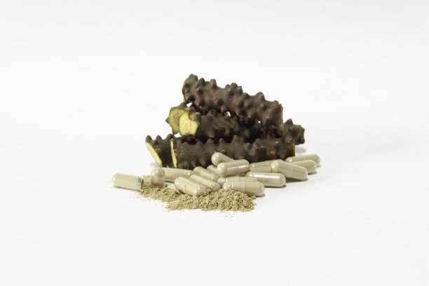 金果榄crispa (l)图片下载