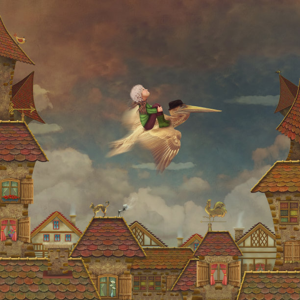 小男孩和棕色鹈鹕在天空中图片下载