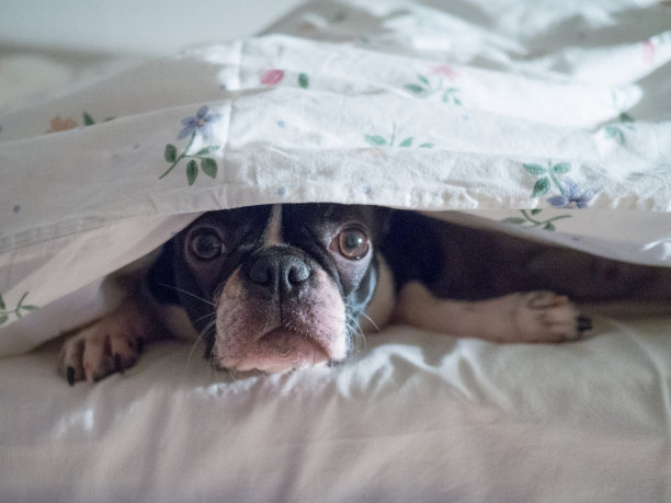 已经早上了吗?图片下载