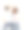 一对白色t恤背面印有性标志的夫妇图片下载