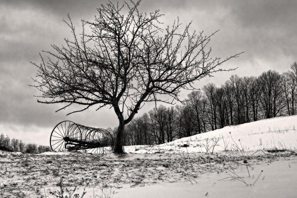 雪中的佛蒙特干草工具图片下载