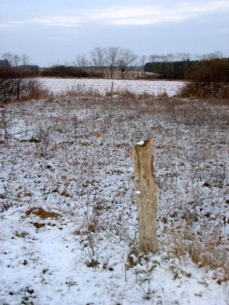 冬天下雪的田野图片下载
