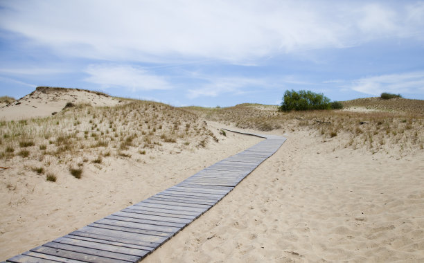 Curonian Spit，著名的灰色沙丘。立陶宛。图片下载