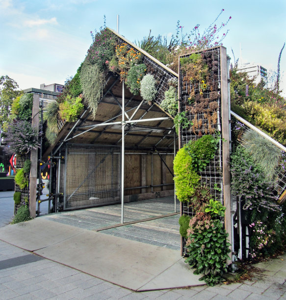 克莱斯特彻奇大教堂的临时入口图片下载