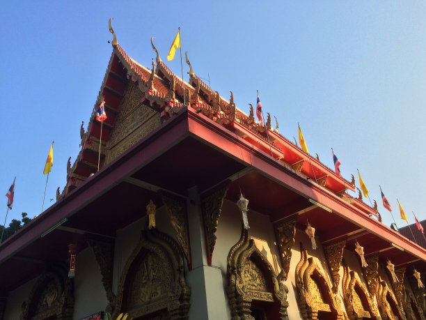 谁是宽恕图片下载