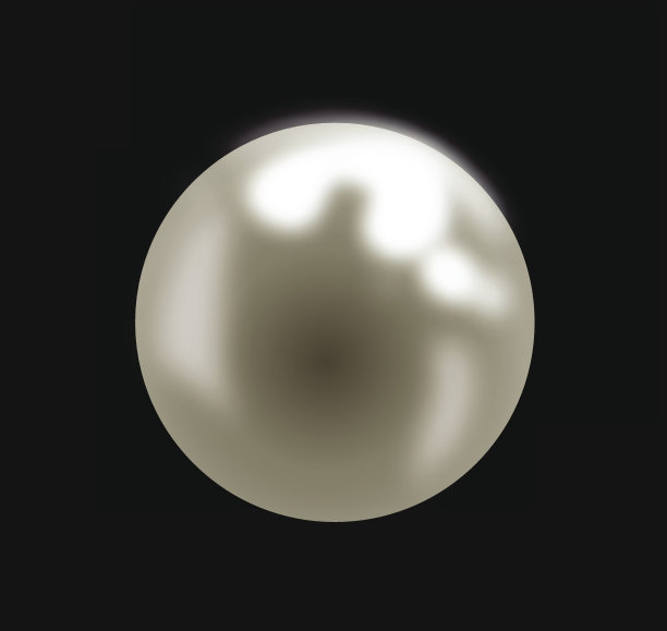 美丽逼真的珍珠插图矢量图片下载