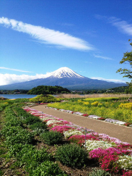 春天的富士山图片下载