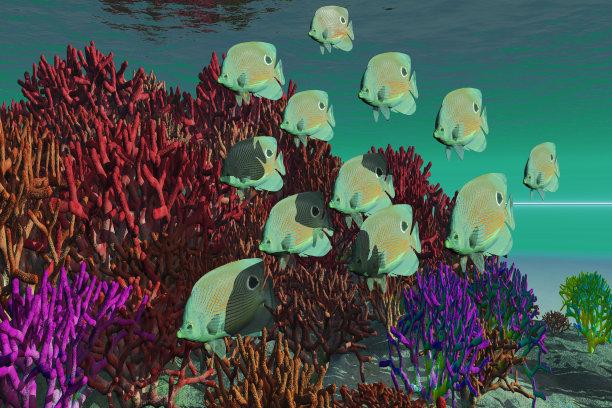 珊瑚礁图片下载