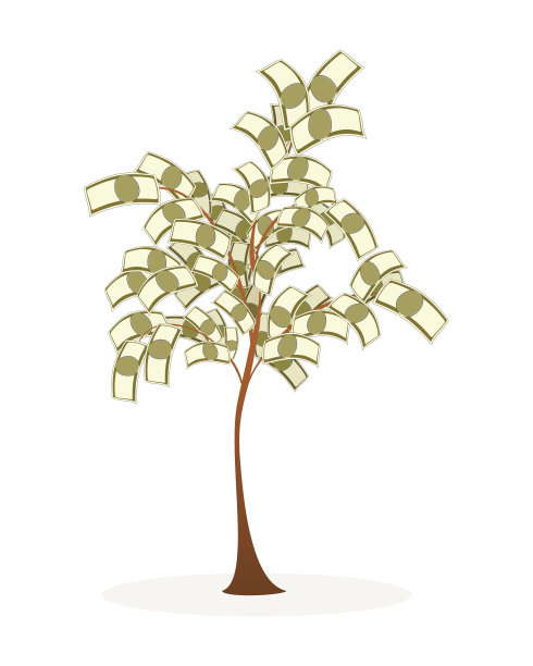 郁郁葱葱的金钱树图片下载