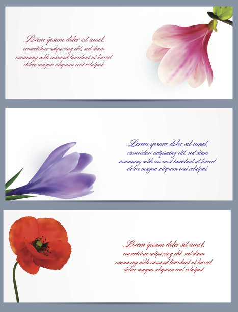 一套宣传册设计2图片下载