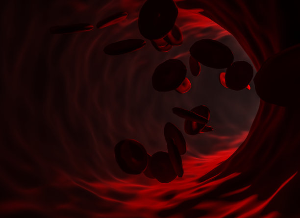 血细胞图片下载