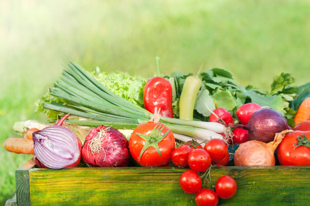 新鲜有机蔬菜图片下载