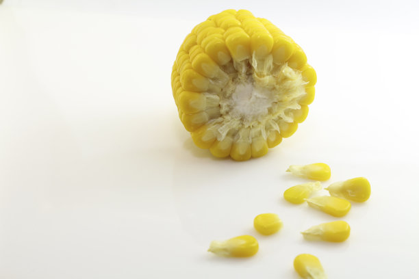 新鲜的甜玉米图片下载