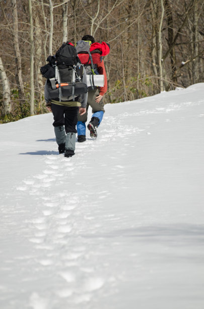 在森林中漫步图片下载