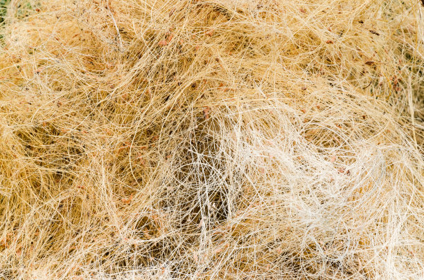 椰子绳由椰子的辫状外壳制成的椰子绳图片下载