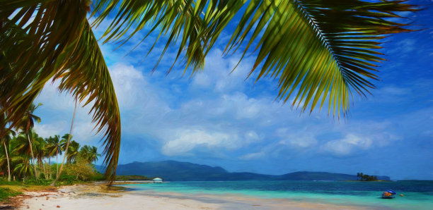 数字艺术，绘画效果，多明尼加共和国萨马纳，林孔图片下载