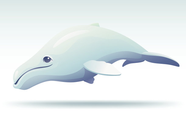 可爱的座头鲸图片下载