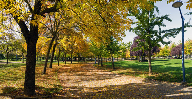 秋天的公园-秋天的公园全景图片下载