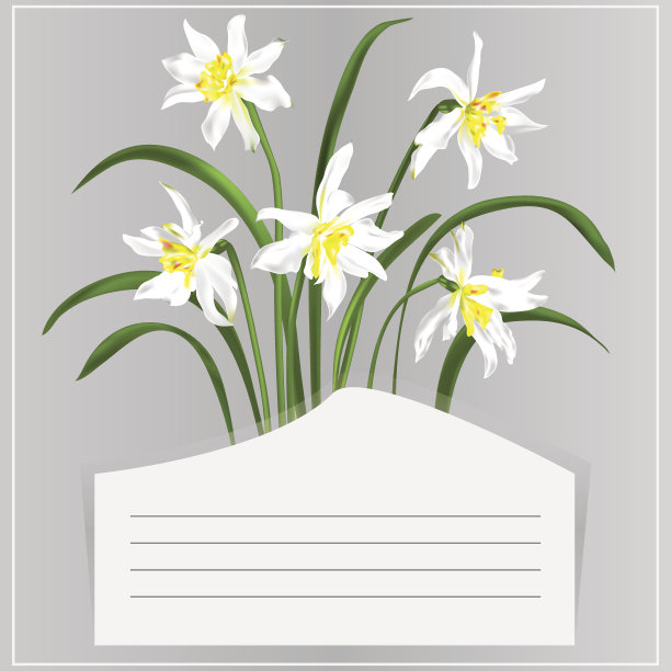 卡片,水仙花图片下载