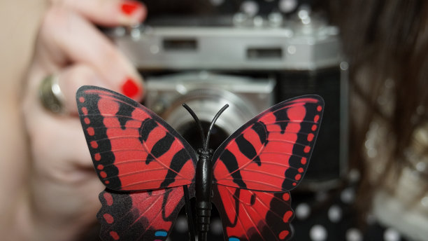 的摄影图片下载