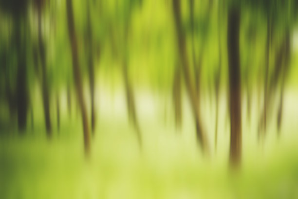 抽象的运动模糊了绿色森林中的树木图片下载