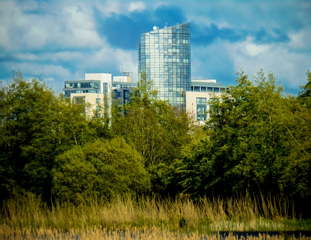 摩天大楼在树上图片下载