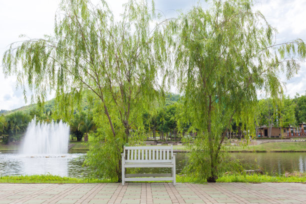 春季景观有湖和单椅图片下载