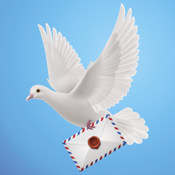 怀特先生在哪里图片下载