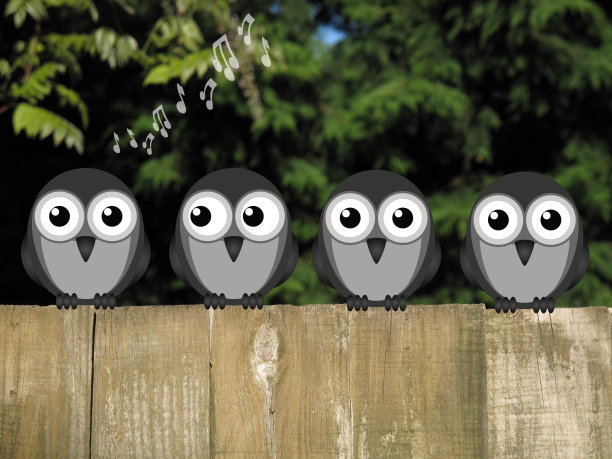 黎明合唱图片下载