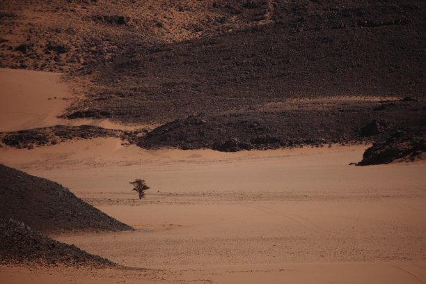 撒哈拉沙漠在阿尔及利亚图片下载