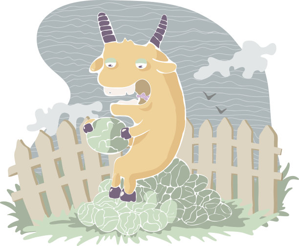 彩色矢量插图的山羊与卷心菜。图片下载