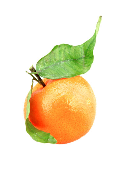 在白色背景上孤立的成熟橙子图片下载