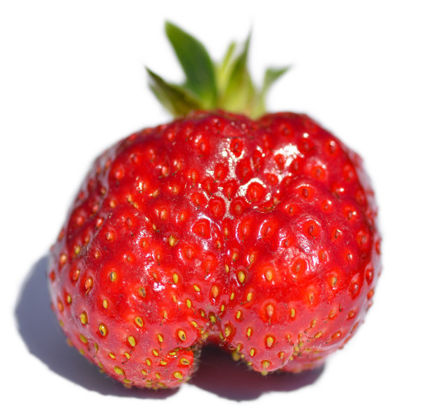 草莓图片下载