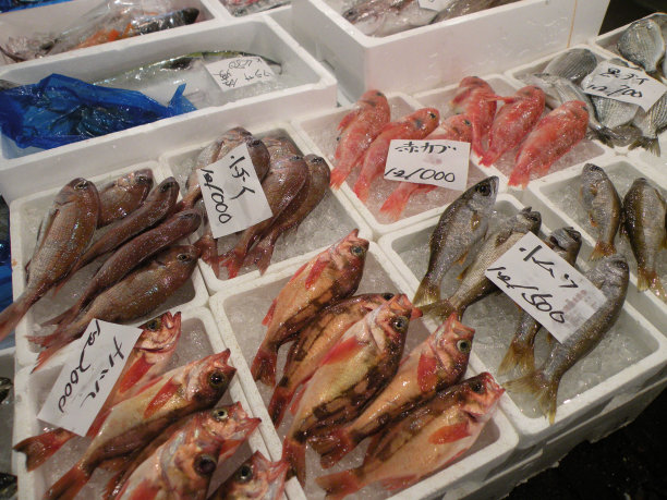 鱼市场,东京图片下载