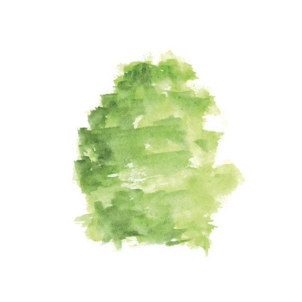 水彩树在白色的背景图片下载