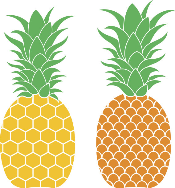 菠萝图片下载