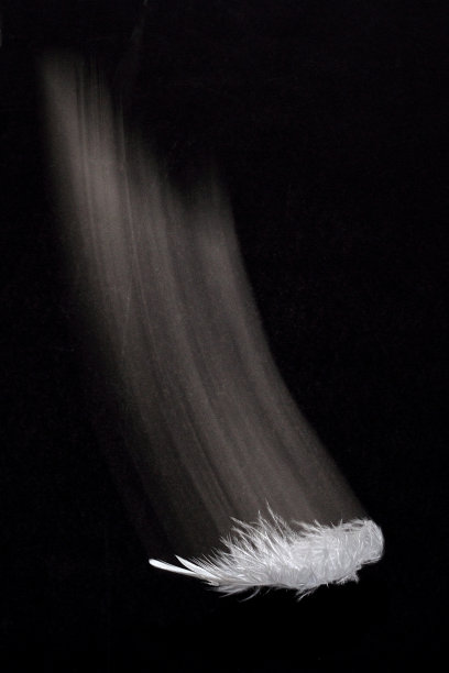 羽毛自由落体图片下载