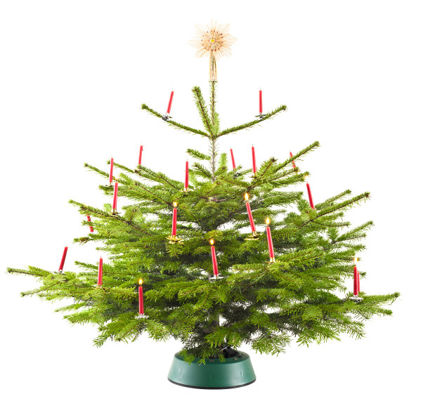 圣诞树图片下载