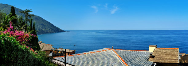 卡莫格利的屋顶全景图片下载