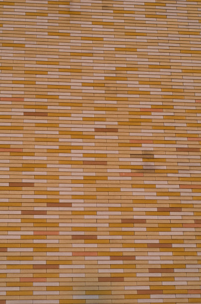 黄色瓷砖站图片下载