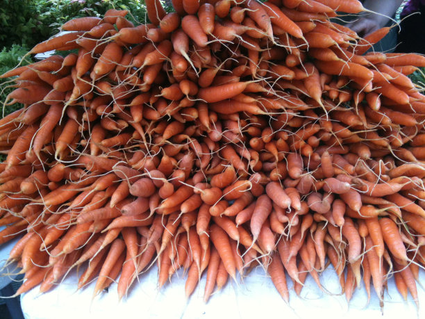 胡萝卜图片下载