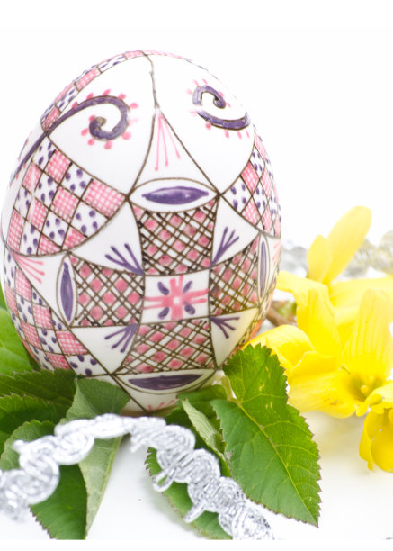 鸡蛋和树叶图片下载