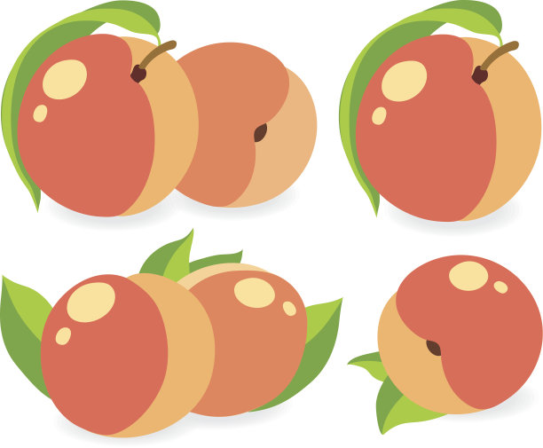 桃子矢量图图片下载