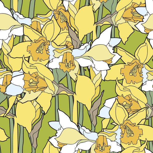 无缝图案与水仙花图片下载