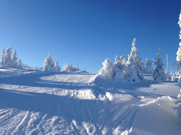 冬天的风景图片下载