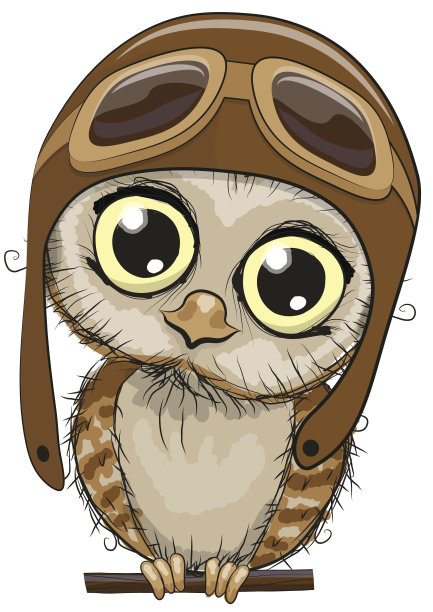 可爱的猫头鹰图片下载