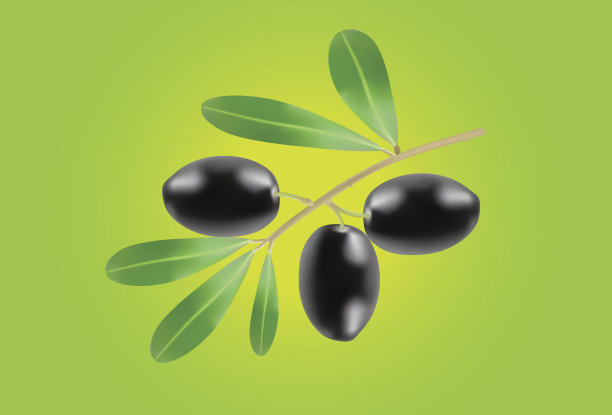 橄榄枝插图图片下载