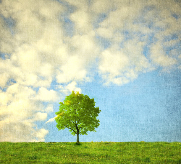 单棵树的超现实景观图片下载